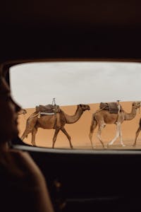 travelling in Morocco